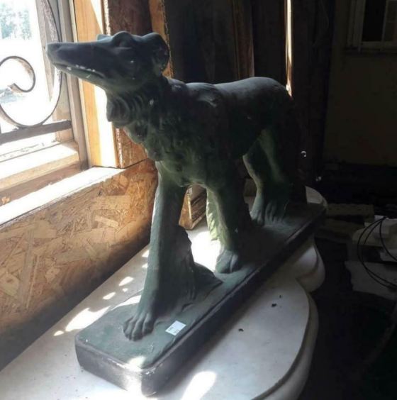 Melani greyhound prod 168